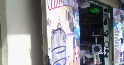 OUTLET PARA MASCOTAS OUTLET PARA MASCOTAS